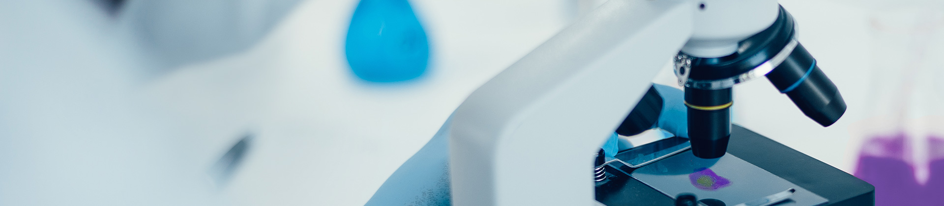 檢測(cè)服務(wù)