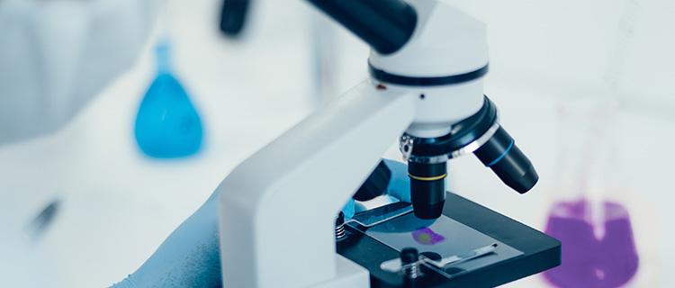 檢測(cè)服務(wù)